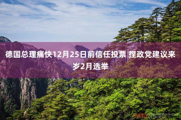 德国总理痛快12月25日前信任投票 捏政党建议来岁2月选举